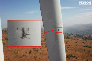 Lightning Strike Defect