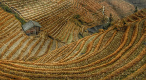 contour lines generation using aerial drone survey